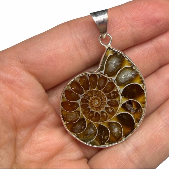 Ammonite Fossil Necklace Pendant 925 Sterling Silver Overlay - Picture 2 of 5